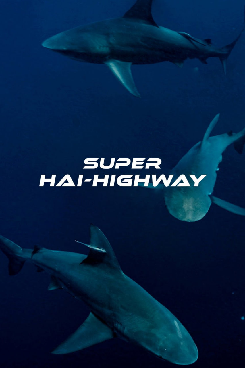 超級鯊魚大道(港)