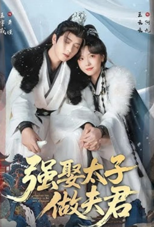 强娶太子做夫君